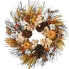 Harvest Wreath-National Tree Company Artificial Autumn Wreath, Decorated With Pinenuts, Gourds, Berry Clusters, Pinecones, Assorted Leaves, Autumn Collection, 22 In