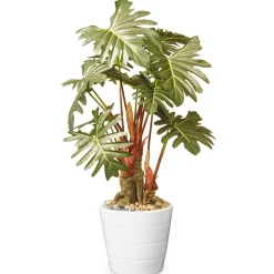 National Tree Company Potted Plants^ Artificial Potted Plant Decoration, Philodendron, Includes White Ceramic Pot, Spring Collection, 21 Inches