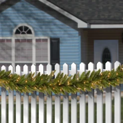 7' To 10' Garland-National Tree Company Pre-Lit 'Feel Real' Artificial Christmas Garland, Green, Frasier Grande, White Lights, Plug In, Christmas Collection, 9 Feet