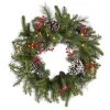 21" To 24" Wreath-National Tree Company Pre-Lit Artificial Christmas Wreath, Green, Bristle Berry Pine, White Lights, Decorated With Frosted Branches, Pine Cones, Berry Clusters, Christmas Collection, 24 Inches