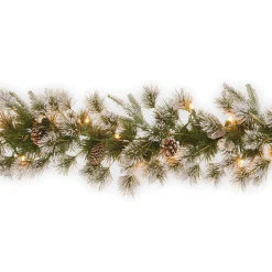 7' To 10' Garland-National Tree Company Pre-Lit 'Feel Real' Artificial Christmas Garland, Green, Liberty Pine, White Lights, Decorated With Pine Cones, Frosted Branches, Plug In, Christmas Collection, 9 Feet