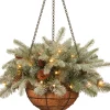 Christmas Greenery-National Tree Company Pre-Lit 'Feel Real' Artificial Christmas Hanging Basket, Arctic Spruce, Decorated With Frosted Pine Cones, White Lights, Christmas Collection, 20 Inches