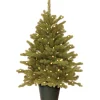 National Tree Company Potted Plants^ Pre-Lit 'Feel Real' Artificial Christmas Tree, Hampton Spruce, Green, White Lights, Includes Pot Base, 3 Feet