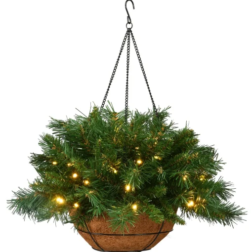 Christmas Greenery-National Tree Company Pre-Lit Artificial Christmas Hanging Basket, Tiffany Fir, Decorated With Frosted Pine Cones, Berry Clusters, White Lights, Christmas Collection, 20 Inches