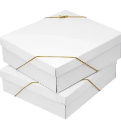 Christmas Ornament-National Tree Company 20-Piece Christmas Tree Ornament Set, Arctic Lights Collection