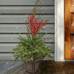 Topiaries / Shurbs-National Tree Company Pre Lit Artificial Shrub, Evergreen, Decorated With Red Berries, Pine Cones, Warm White Led Lights, Includes Stylish Brown Base, Battery Powered, Christmas Collection, 48 Inches