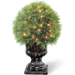 Topiaries / Shurbs-National Tree Company Pre-Lit 27" Artificial Upright Juniper Ball Topiary