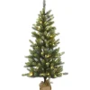 Slim-National Tree Company Pre-Lit Artificial Christmas Tree, Trinity Spruce, With Warm White Led Lights, Plug In, 4.5 Ft