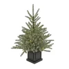 Clear-National Tree Company Pre-Lit Artificial Christmas Entrance Tree, Blue Evergreen , Dual Rice Led Lights, Plug In, 48 In