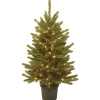 Under 5Ft-National Tree Company Pre-Lit Artificial Christmas Tree, Kensington, Green, White Lights, Includes Pot Base, 4 Feet