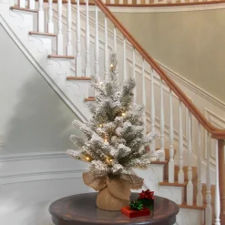 5Ft - 6Ft-National Tree Company Pre-Lit Artificial Christmas Tree, Green, Snowy Sheffield Spruce, White Led Lights, Includes Cloth Bag Base, Battery Operated, 24 Inches