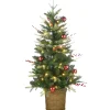 Slim-National Tree Company Pre-Lit Artificial Christmas Entrance Tree, Scotch Creek Fir, With Warm White Led Lights, Plug In, 4 Ft