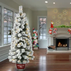5Ft - 6Ft-National Tree Company Pre-Lit Artificial Christmas Entrance Tree, Snowy Pogue Pine, With Warm White Led Lights, Plug In, 5 Ft