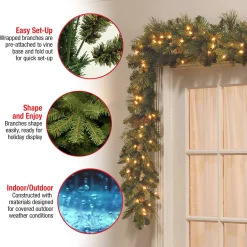 7' To 10' Garland-National Tree Company Pre-Lit Artificial Christmas Garland, Green, Carolina Pine, White Lights, Decorated With Pine Cones, Plug In, Christmas Collection, 9 Feet