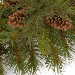 Warm White Led-National Tree Company Pre-Lit Artificial Christmas Tree, Green, Pine Cone, White Led Lights, Includes Cloth Bag Base, Battery Operated, 3 Feet