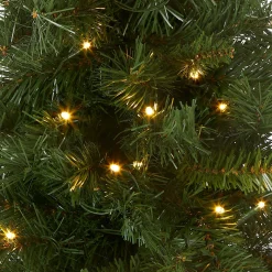 Warm White Led-National Tree Company Pre-Lit Artificial Christmas Tree, Green, Majestic Fir, White Led Lights, Includes Cloth Bag Base, Battery Operated, 24 Inches