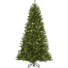 5Ft - 6Ft-National Tree Company Pre-Lit Artificial Christmas Tree, Peyton Spruce, Green, White Lights, Includes Stand, 6.5 Feet