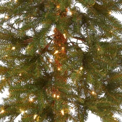 Slim-National Tree Company Pre-Lit Artificial Christmas Tree, Hickory Cedar, Green, White Lights, Includes Stand, 5 Feet