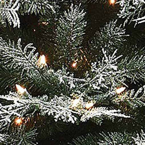 21" To 24" Wreath-National Tree Company Pre-Lit Artificial Christmas Wreath, Green, Norwood Fir, Dual Color Led Lights, Christmas Collection, 24 Inches