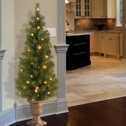 National Tree Company Slim^Pre-Lit Artificial Christmas Entrance Tree, Montclair Spruce With Clear Lights, Plug In, 4 Ft
