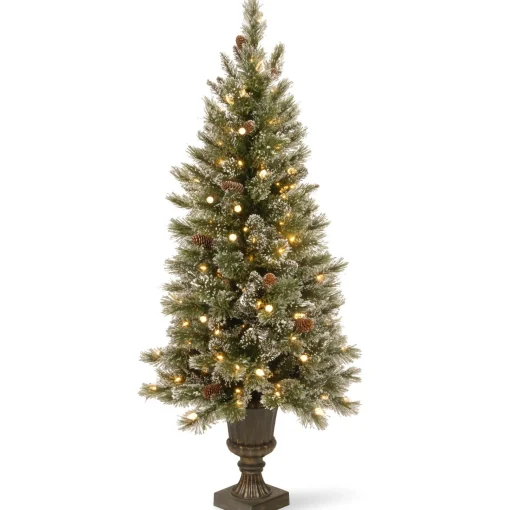 Warm White Led-National Tree Company Pre-Lit Artificial Entrance Christmas Tree, Green, Glittery Bristle Pine, White Lights, Flocked With Pine Cones, Frosted Branches, Includes Stand, 5 Feet