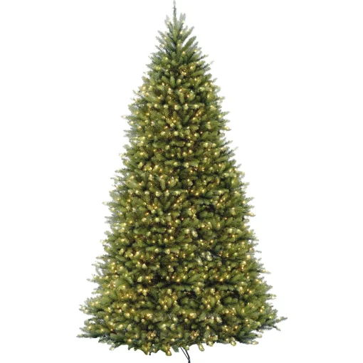 Full-National Tree Company Pre-Lit Artificial Full Christmas Tree, Green, White Lights, Includes Stand, 10 Feet
