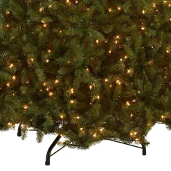 Full-National Tree Company Pre-Lit Artificial Full Christmas Tree, Green, White Lights, Includes Stand, 10 Feet