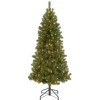 5Ft - 6Ft-National Tree Company Pre-Lit Artificial Full Christmas Tree, Green, Canadian Fir Grande, White Lights, Includes Stand, 6 Feet