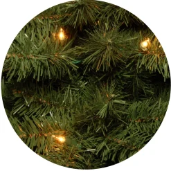 5Ft - 6Ft-National Tree Company Pre-Lit Artificial Full Christmas Tree, Green, Canadian Fir Grande, White Lights, Includes Stand, 6 Feet