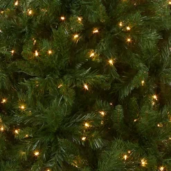 7Ft - 9Ft-National Tree Company Pre-Lit Artificial Full Christmas Tree, Green, Winchester Pine, White Lights, Includes Stand, 7.5 Feet