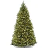 Led-National Tree Company Pre-Lit Artificial Full Christmas Tree, Green, Dunhill Fir, Dual Color Led Lights, Includes Powerconnect And Stand, 10 Feet