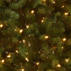7Ft - 9Ft-National Tree Company Pre-Lit Artificial Full Christmas Tree, Green, Dunhill Fir, Dual Color Led Lights, Includes Stand, 9 Feet