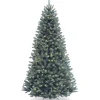 7Ft - 9Ft-National Tree Company Pre-Lit Artificial Full Christmas Tree, Blue, North Valley Spruce, White Lights, Includes Stand, 9 Feet