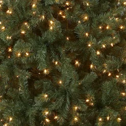 7Ft - 9Ft-National Tree Company Pre-Lit Artificial Full Christmas Tree, Blue, North Valley Spruce, White Lights, Includes Stand, 7.5 Feet