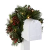 Christmas Greenery-National Tree Company Pre-Lit Artificial Mailbox Swag Decoration, Green, Colonial Fir, Led Lights, Decorated With Pine Cones, Berry Clusters, Christmas Collection, 3 Feet