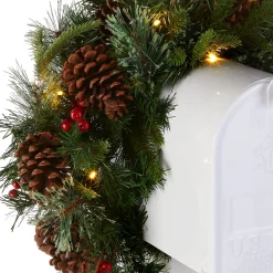 Christmas Greenery-National Tree Company Pre-Lit Artificial Mailbox Swag Decoration, Green, Colonial Fir, Led Lights, Decorated With Pine Cones, Berry Clusters, Christmas Collection, 3 Feet