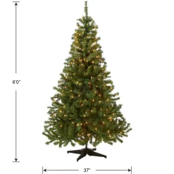 5Ft - 6Ft-National Tree Company Pre-Lit Artificial Medium Christmas Tree, Green, Kincaid Spruce, White Lights, Includes Stand, 6 Feet