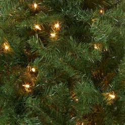 Full-National Tree Company Pre-Lit Artificial Mini Christmas Tree, Green, Kincaid Spruce, White Lights, Includes Stand, 4 Feet