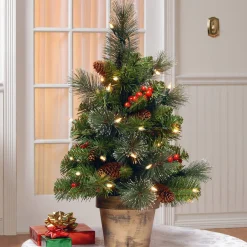 Under 5Ft-National Tree Company Pre-Lit Artificial Mini Christmas Tree, Green, Crestwood Spruce, White Lights, Decorated With Pine Cones, Berry Clusters, Frosted Branches, Includes Pot Base, 2 Feet