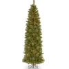 Slim-National Tree Company Pre-Lit Artificial Slim Christmas Tree, Tacoma Pine, Green, White Lights, Includes Stand, 9 Feet
