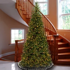 Clear-National Tree Company Pre-Lit Artificial Slim Christmas Tree, Green, Dunhill Fir, White Lights, Includes Stand, 10 Feet