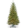 Slim-National Tree Company Pre-Lit Artificial Slim Christmas Tree, Green, Dunhill Fir, White Lights, Includes Stand, 4.5 Feet
