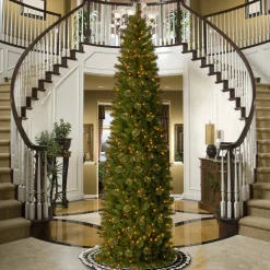 Slim-National Tree Company Pre-Lit Artificial Slim Christmas Tree, Tacoma Pine, Green, White Lights, Includes Stand, 12 Feet