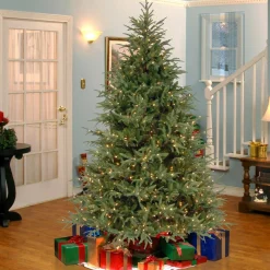 5Ft - 6Ft-National Tree Company Pre-Lit 'Feel Real' Artificial Full Christmas Tree, Green, Frasier Grande, White Lights, Includes Stand, 6.5 Feet