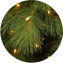 National Tree Company Full^Pre-Lit 'Feel Real' Artificial Christmas Tree, Arcadia Pine, Green, Dual Color Led Lights, Includes Stand, 7.5 Feet
