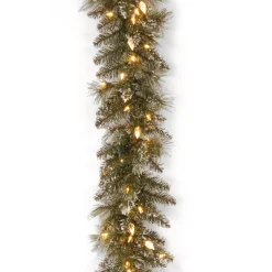7' To 10' Garland-National Tree Company Pre-Lit 'Feel Real' Artificial Christmas Garland, Green, Glittery Bristle Pine, White Lights, Decorated With Frosted Branches, Plug In, Christmas Collection, 9 Feet