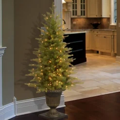 Slim-National Tree Company Pre-Lit 'Feel Real' Artificial Mini Entrance Christmas Tree, Green, Nordic Spruce, White Lights, Includes Decorative Urn Base, 4 Feet