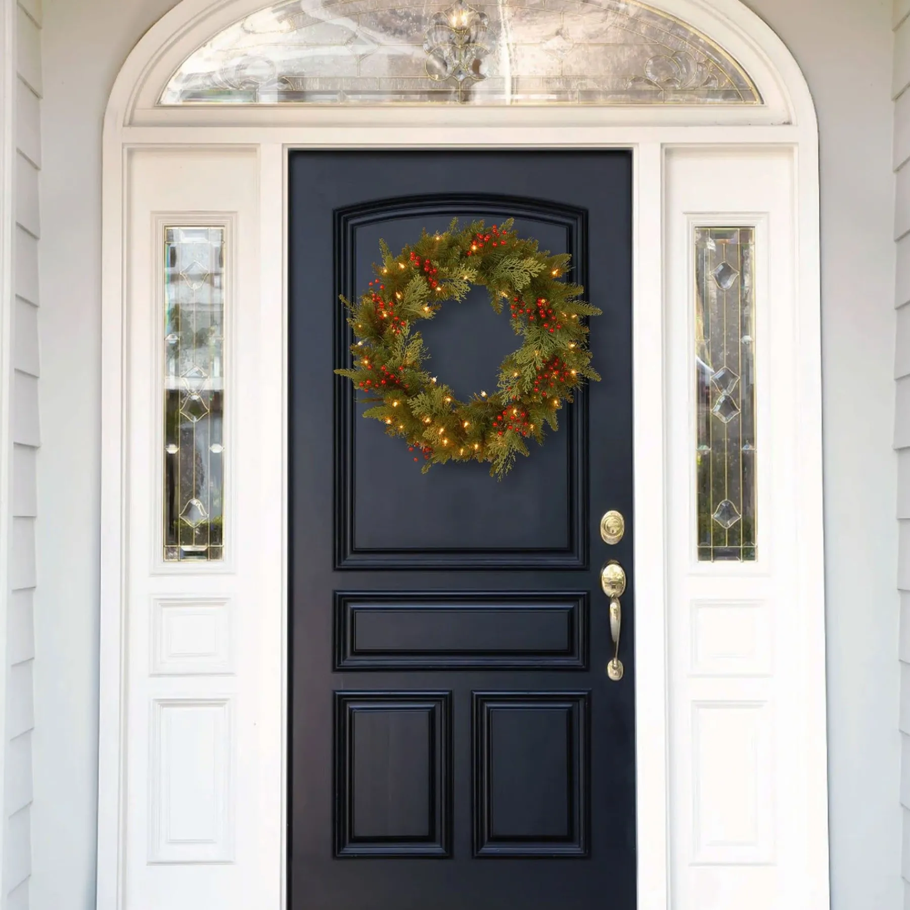 21" To 24" Wreath-National Tree Company Pre-Lit 'Feel Real' Artificial Christmas Wreath, Green, Classical, White Lights, Decorated With Berry Clusters, Christmas Collection, 24 Inches