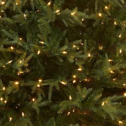 7Ft - 9Ft-National Tree Company Pre-Lit 'Feel Real' Artificial Full Christmas Tree, Green, Frasier Grande, Dual Color Led Lights, Includes Stand, 7.5 Feet