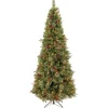 7Ft - 9Ft-National Tree Company Pre-Lit 'Feel Real' Artificial Slim Christmas Tree, Colonial Fir, Green, White Lights, Includes Stand, 7.5 Feet